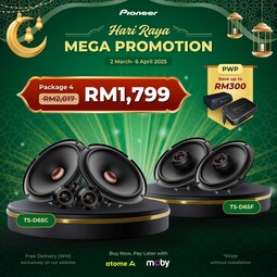 Pioneer Raya Promo Package 4 (TS-D65C + TS-D65F)